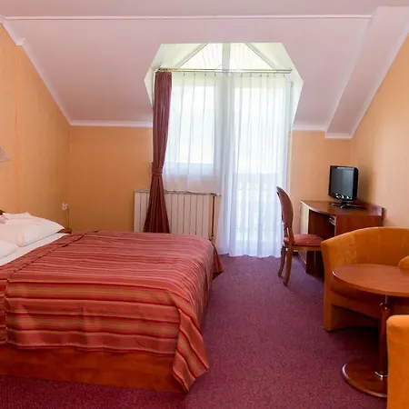 Hotel Branica 4*